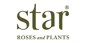 Star® Roses and Plants