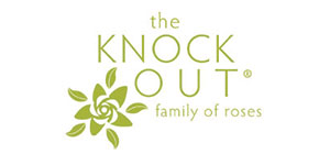 Knock Out&reg; Roses