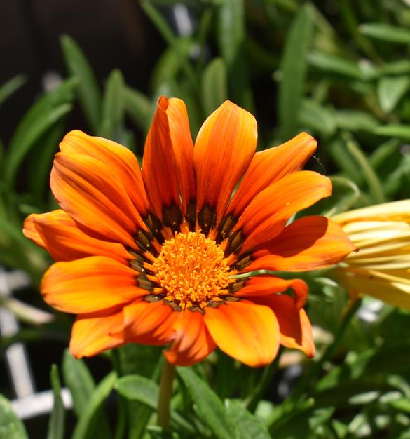 45+ Years of Quality